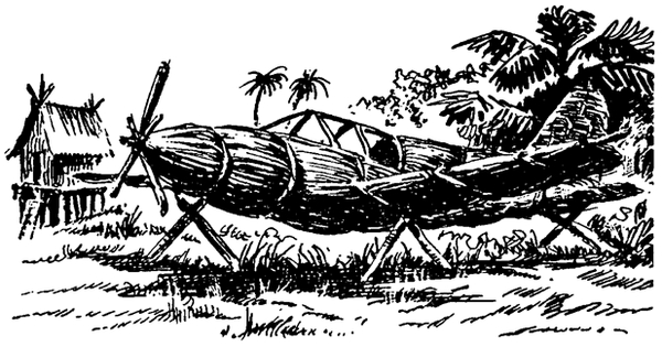 Самолет из соломы, сделанный жителями одного из островов Новой Гвинеи
